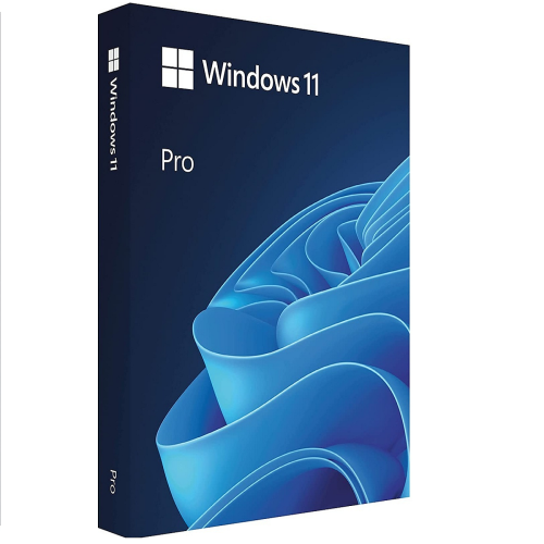 Windows 11 Профессиональный